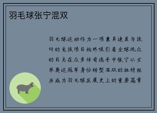 羽毛球张宁混双